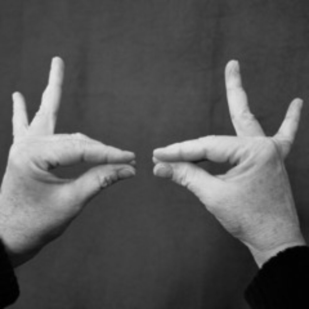 Handmudra 3