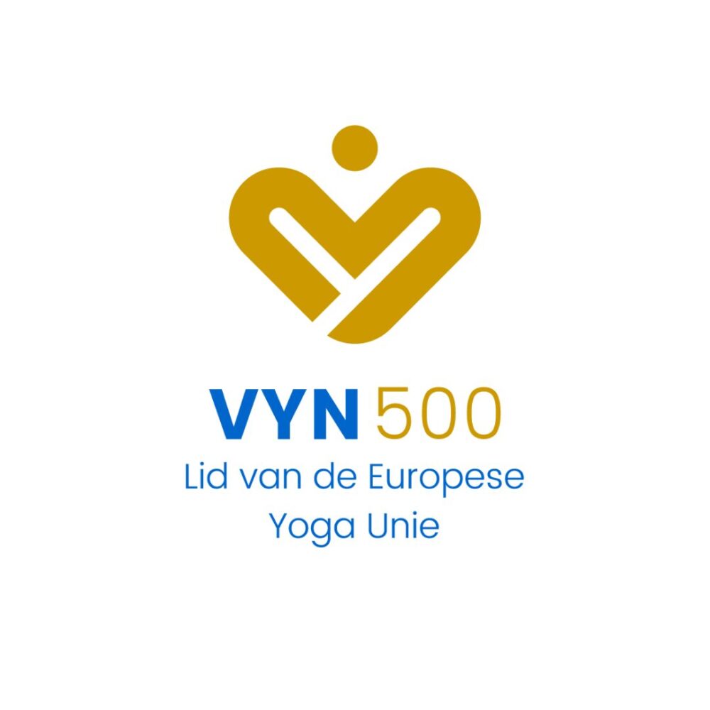 VYN500u